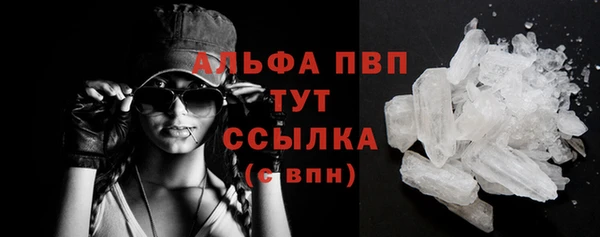 стаф Козловка