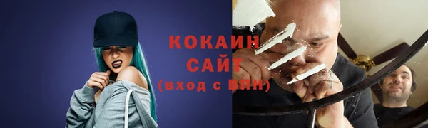 стаф Козловка