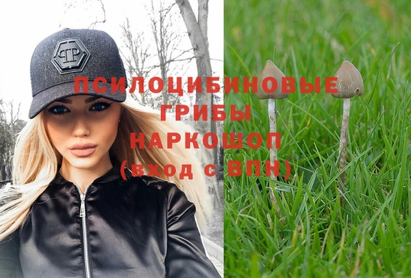 синтетический гашиш Козельск