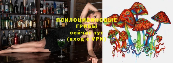 стаф Козловка