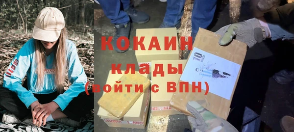 стаф Козловка