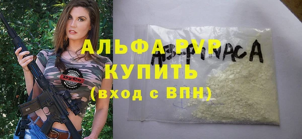 стаф Козловка