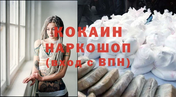 стаф Козловка