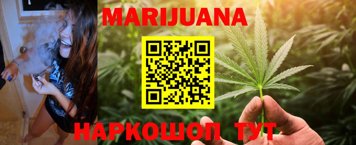 Конопля сатива Тейково